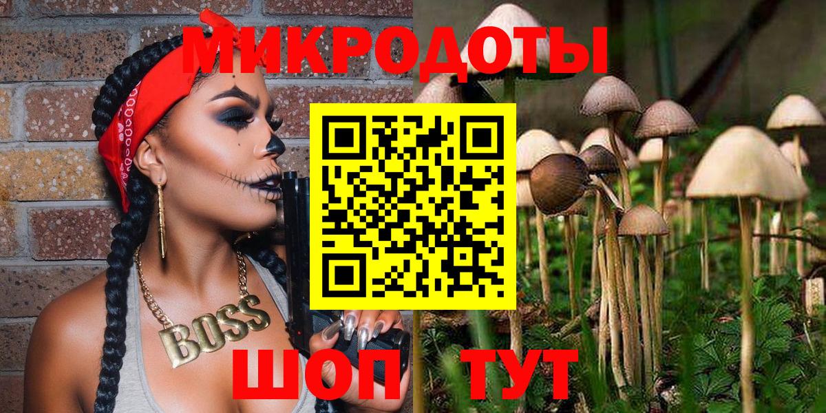 Псилоцибиновые грибы Cubensis Орёл