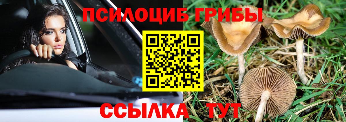 Псилоцибиновые грибы Орёл