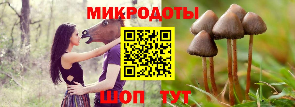 Галлюциногенные грибы ЛСД  Галлюциногенные грибы прущие грибы  Орёл  Вход с VPN 